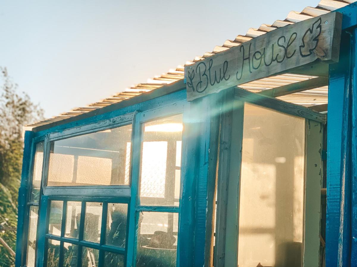 Be A Guest At Pachamama Community Apartment Alcácer do Sal Екстериор снимка