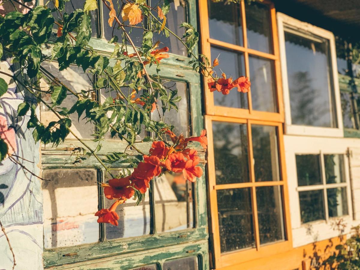 Be A Guest At Pachamama Community Apartment Alcácer do Sal Екстериор снимка